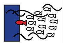 앞선 한마리 물고기를 따라가는 모습